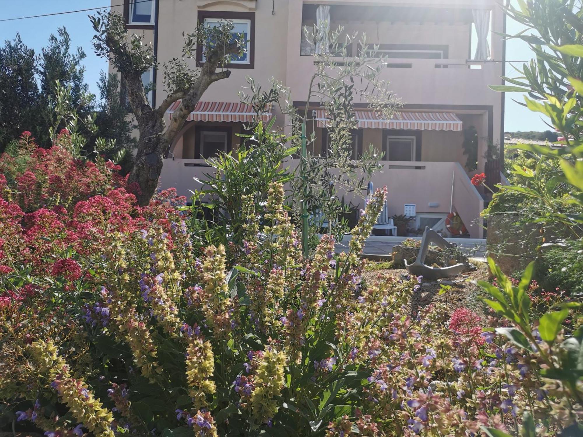 Apartman Franolic Punat Εξωτερικό φωτογραφία