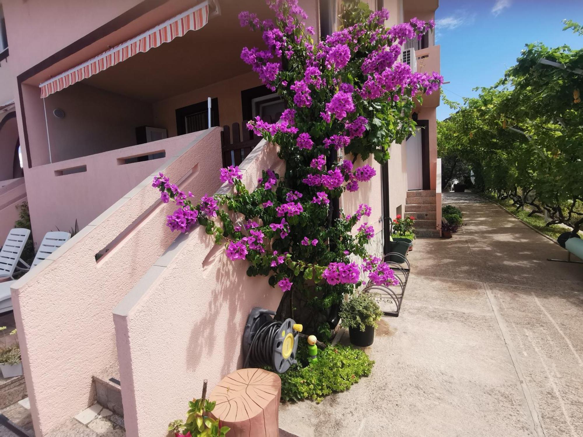 Apartman Franolic Punat Εξωτερικό φωτογραφία